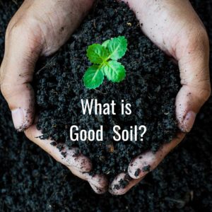 What is Good Soil?