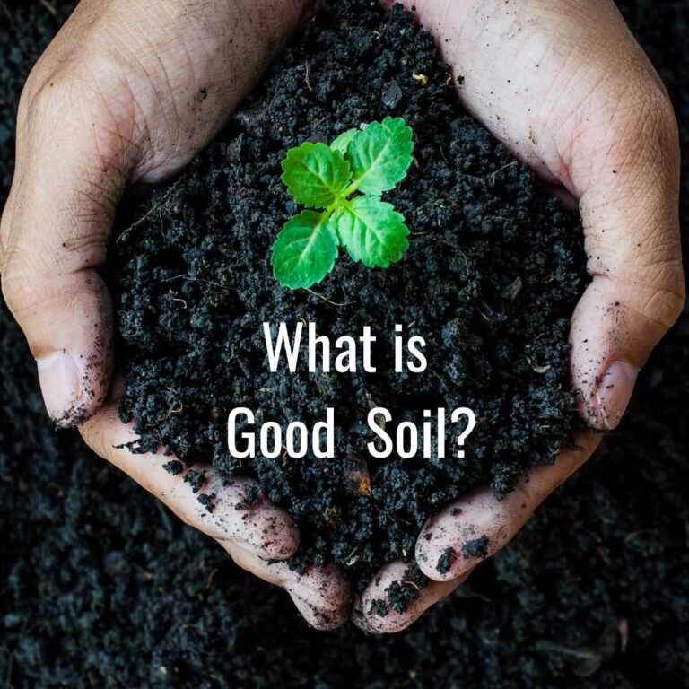 The Importance of Good Soil for a Healthy Garden Fairgreen Sod Farms